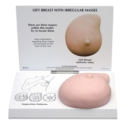 GPI ANATOMICAL Anatomical Model - Soft Breast - Cancer 3401